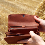 Pochette Compagnon