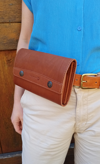Pochette Accordéon