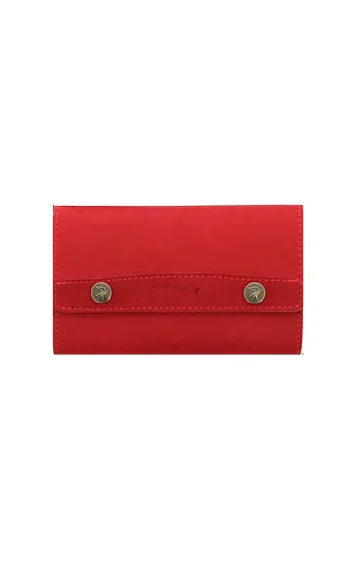 Pochette Accordéon