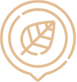 Logo écologique png