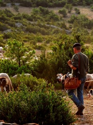 Sac en cuir Français Le Sac du Berger